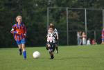 comp.JGD.(2) 036