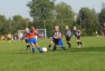 comp.JGD.(2) 079