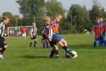 comp.JGD.(2) 081