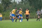 comp.JGD.(2) 175