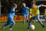 knvb (2) 031kopie