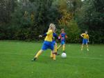 knvb 142