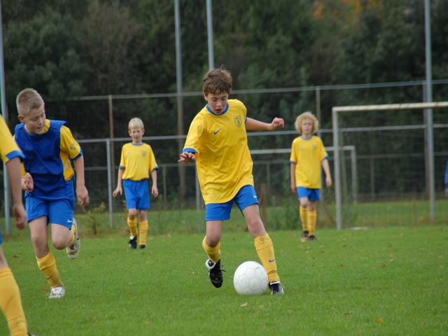 knvb 236