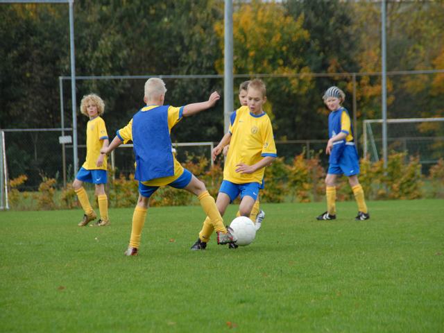 knvb 237
