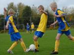 knvb 240