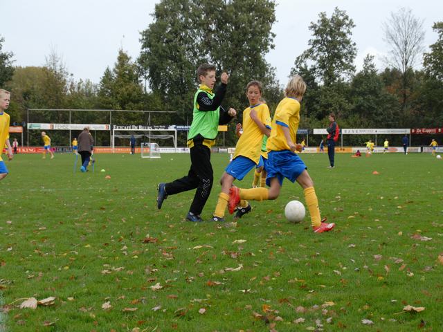 knvb 246