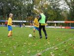 knvb 253