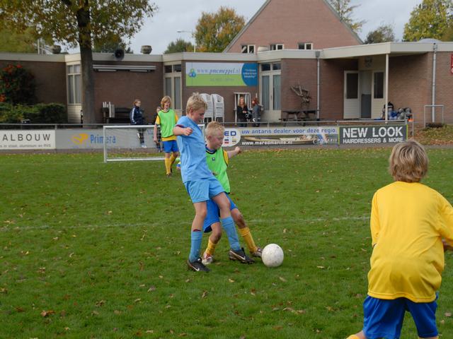 knvb 273