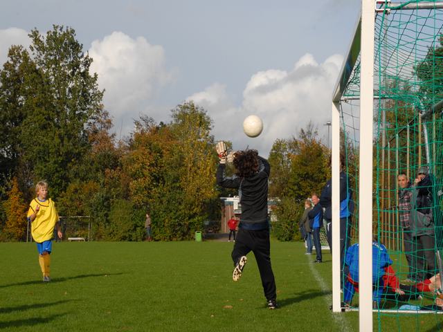 knvb 303