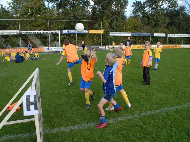 knvb(2) 196