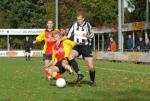 DSC_3408_0998a (Small)