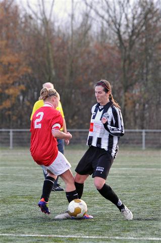 CHV_0163 (Small)