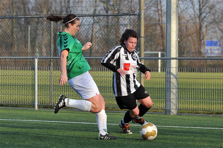 CHV_5196 (Small)