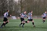 CHV_7565 (Small)