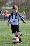 CHV_3648 (Small)
