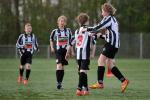 CHV_3698 (Small)