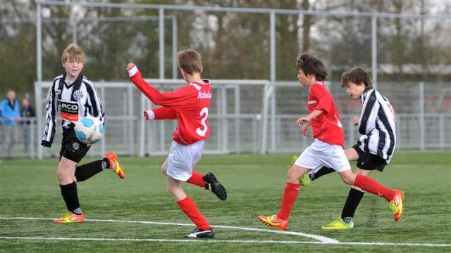 CHV_3788 (Small)