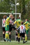 CHV_3874 (Small)