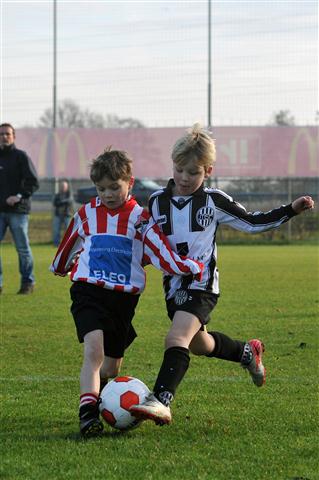 CHV_9634 (Small)