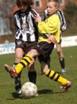 Alcides-MSC 1-2 075kopie