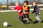 Aktie voetbal. 060kopie