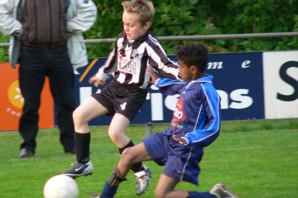 F1kampioen17