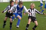 E1Kampioen1