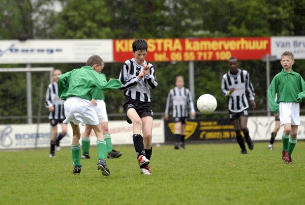 D3 005kopie